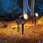 Spike laying 5W eyelash