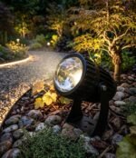 Spot laser lens 10W COB