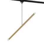 دلاية مودرن