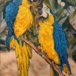 زوجان من الببغاوات