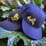 قبعة شبابية