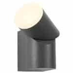 LED outdoor wall applique