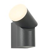 LED outdoor wall applique