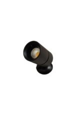 Zola Spotlight - Image 2