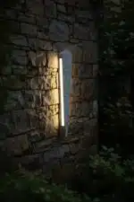 Wall Down Light